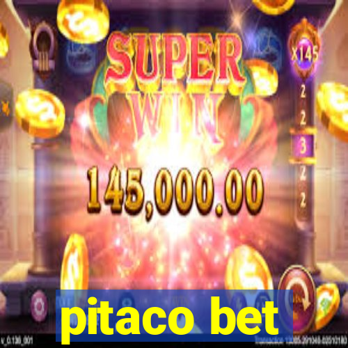 pitaco bet